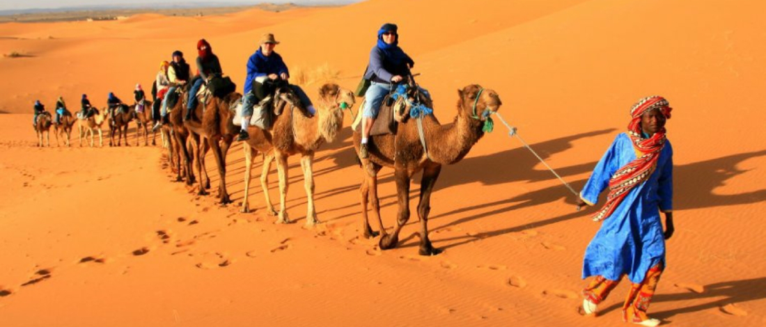 Merzouga Camel Excursions
